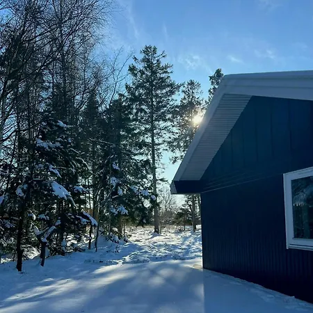 Dom wakacyjny Summer House In Heather Forest Near Bisnap *