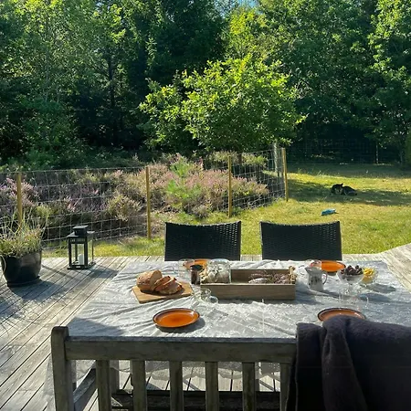 Dom wakacyjny Summer House In Heather Forest Near Bisnap