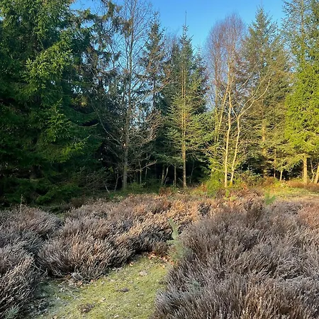 Summer House In Heather Forest Near Bisnap *