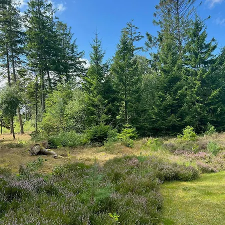 Summer House In Heather Forest Near Bisnap Hals