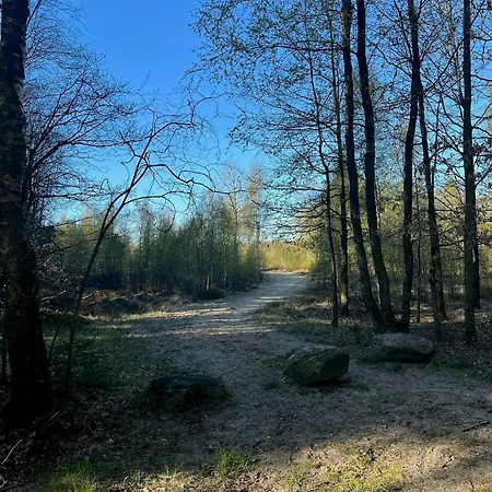 Summer House In Heather Forest Near Bisnap Dom wakacyjny *