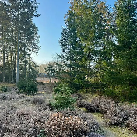 Dom wakacyjny Summer House In Heather Forest Near Bisnap *